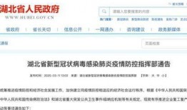 湖北爆料最新新闻,聚焦民生热点事件追踪